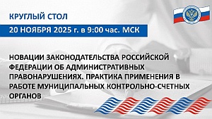 Председатель КСП Вологодской области Ирина Карнакова и специалисты Палаты приняли участие в мероприятии Союза МКСО по вопросам изменения законодательства об административных правонарушениях