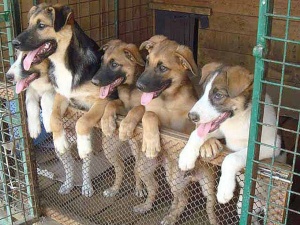  название фото 