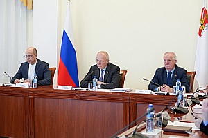 Председатель КСП Вологодской области Ирина Карнакова приняла участие в заседании комитета по бюджету и налогам областного парламента