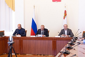 Заместитель председателя КСП Вологодской области Елена Богданова и аудиторы Палаты приняли участие в заседании комитета по бюджету и налогам областного парламента
